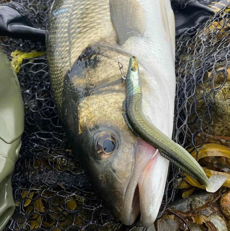 Westin Sandy Andy Weedless Jigs